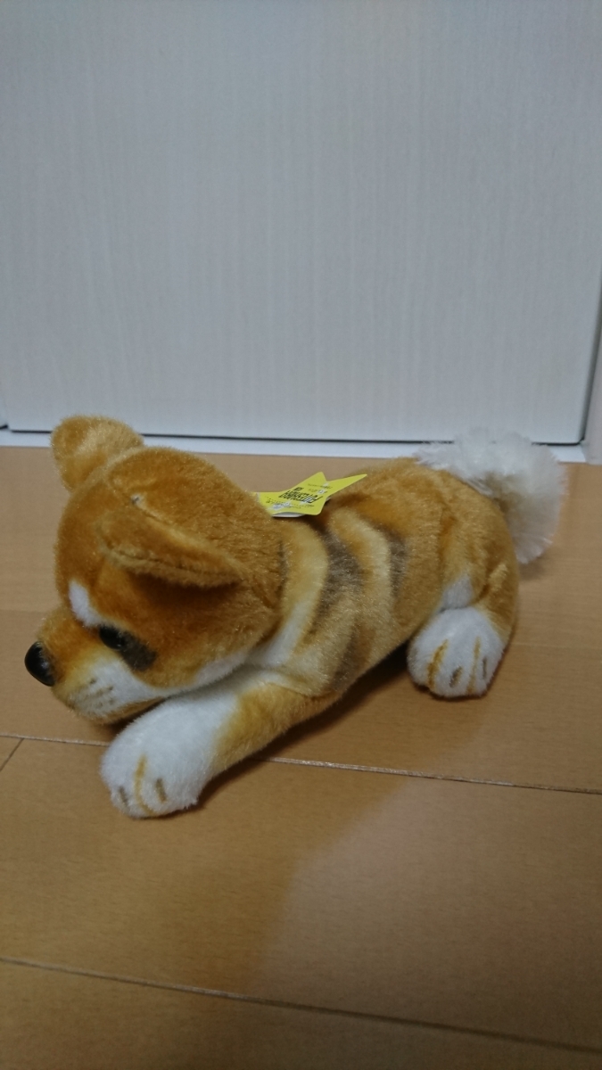 最高 ペット 禁止 でも 飼える ペット プロパティ画像ホームインテリア