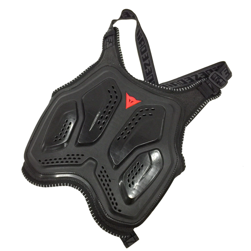 【やや傷や汚れあり】ダイネーゼ サイズ L THOR PRO M2 チェストプロテクター ブラック系 黒系 DAINESEの落札情報詳細