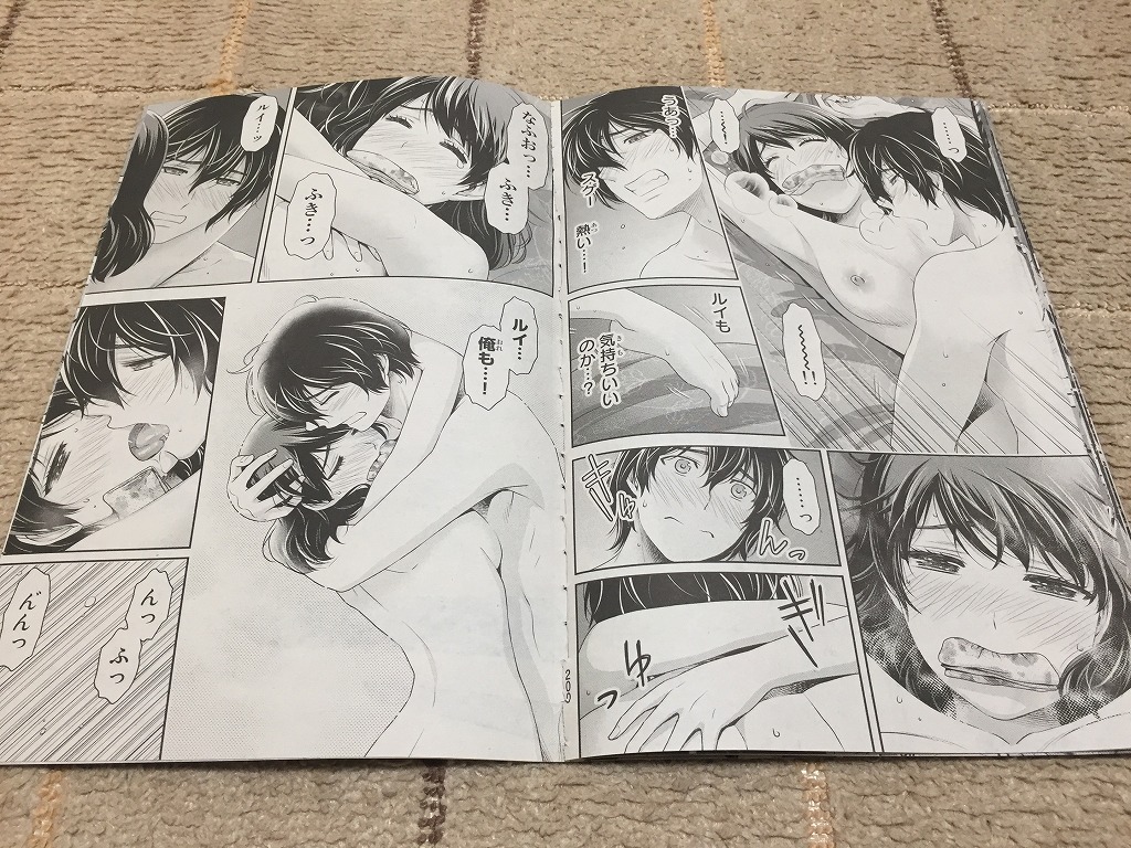 Domestic Girlfriend - Wikipedia 切り抜き】流石景「ドメスティックな彼女」袋とじ切り抜き１６ページ分／藤井夏生×橘瑠衣／週刊少年マガジン の落札情報詳細| ヤフオク落札価格情報 オークフリー・スマートフォン版