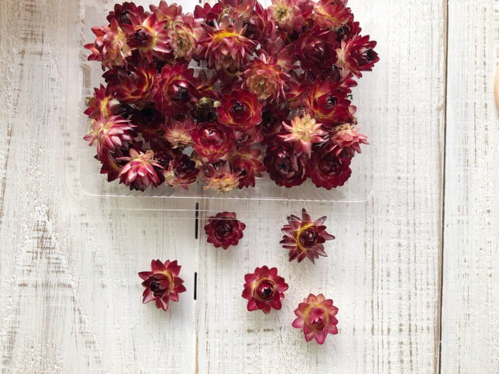 すべての美しい花の画像 トップ100ドライ フラワー 小さい 花