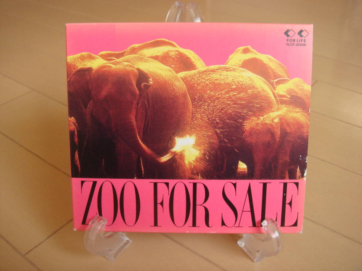 ZOO FOR SALE ベスト盤 Choo Choo TRAIN 恋のブギウギトレイン SHYSHYSHINEなど 80年代 ズー