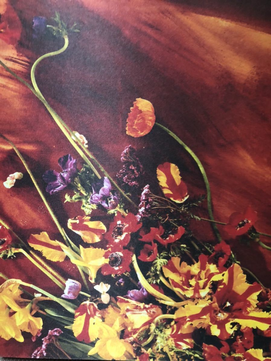 ポール・マッカートニー フラワーズ・イン・ザ・ダート 3SHMCD+DVD国内仕様 Paul McCartney Flowers in