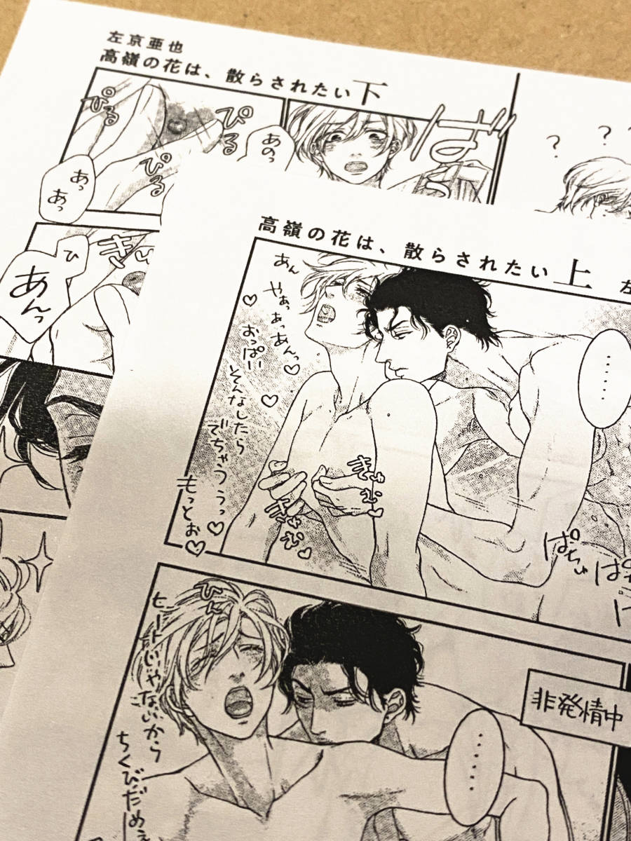 高嶺の花は、散らされたい】6話~9話（ネタバレ注意）まとめて感想/最終回目前！-左京亜也『おまえは運命の番を信じるか？』 | Bl雑誌のすすめ。―By Blメモリー―【ネタバレ注意！雑誌最新話の感想ブログ】 左京亜也『高嶺の花は、散らされたい 上下』応援書店・出版社特典ペーパー2種 新書館 Dear+ 非売品 同梱可 の落札情報詳細| ヤフオク落札価格情報 オークフリー・スマートフォン版