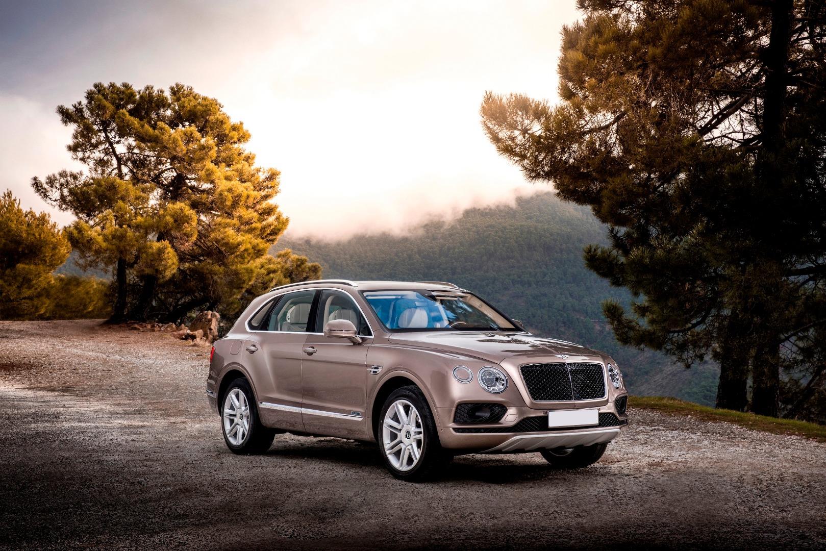 Which Bentley Bentayga engine is better petrol or diesel? Buying a