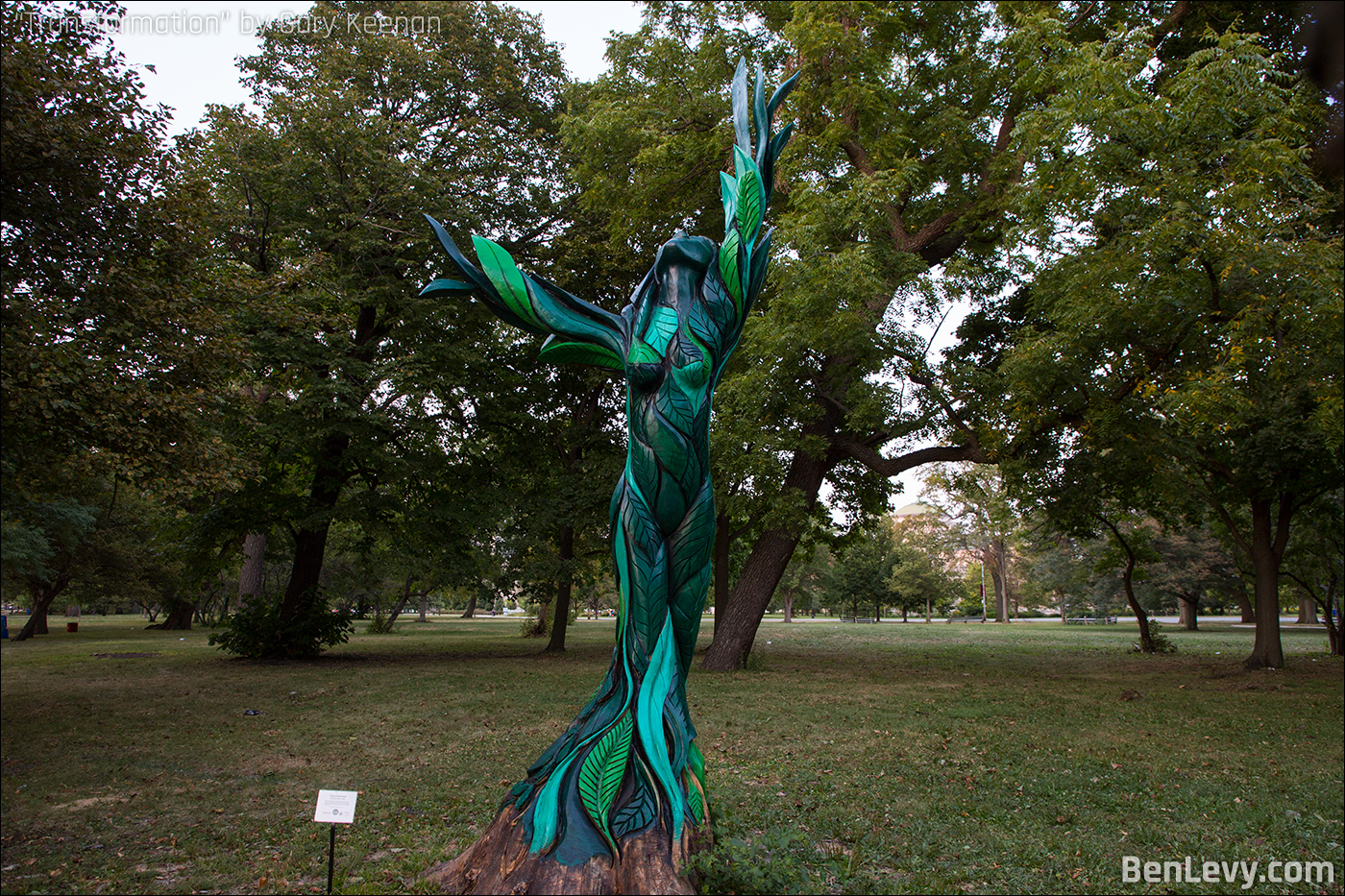 Transformation by Gary Keenan