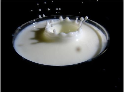 Milk Products and Arthritis — Is There a Connection? Health Guide Info