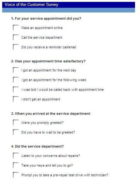 Free Example of a Voice of the Customer Survey BrightHub Project