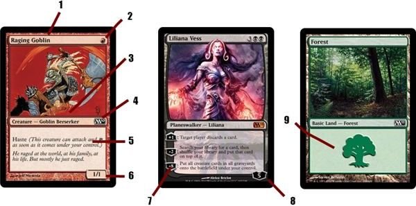 Learn to play Magic the Gathering Anatomy of a Card Game Yum