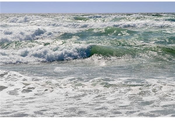 Earning an Oceanography BS Online