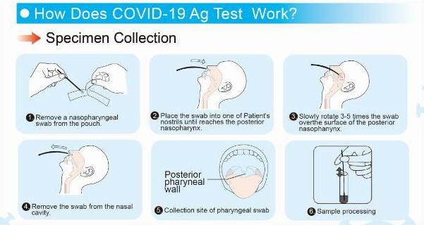 Buy COVID19 Lateral Flow Test Results In 15 Mins Chemist4U