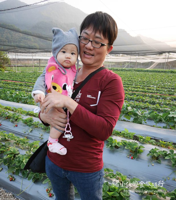 南投。國姓》好彩頭觀光草莓園(已歇業)