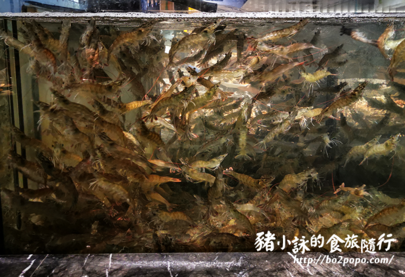 高雄。左營》饗麻饗辣精品火鍋吃到飽明誠旗艦店-高雄推薦火鍋吃到飽