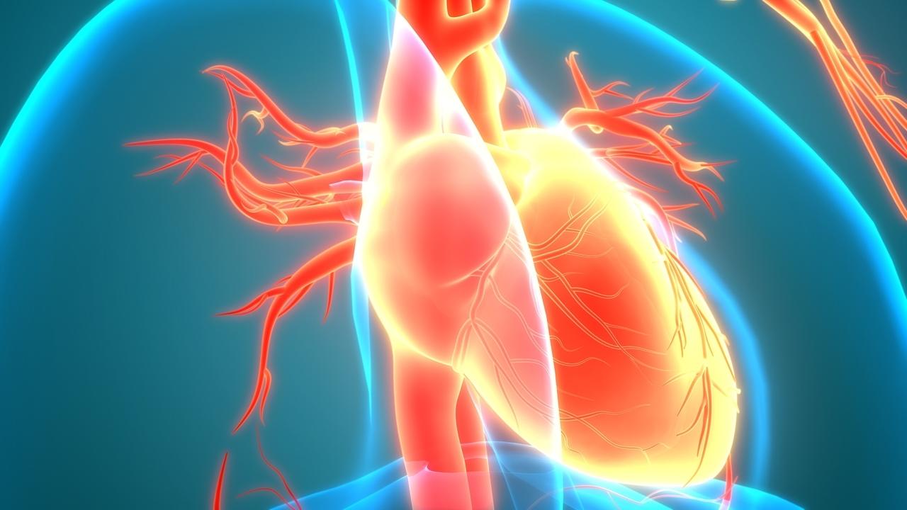 Abenteuer Diagnose MedizinDoku Kardiomyopathie
