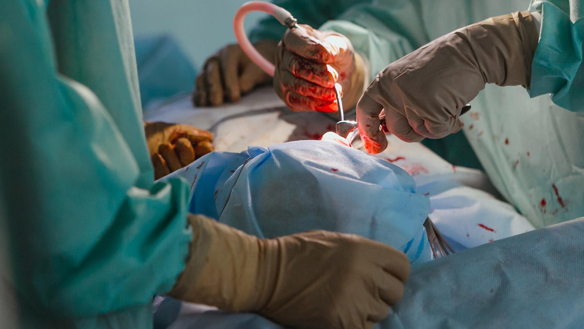 Tag der Organspende Du möchtest deine Organe spenden? So geht's! BAYERN 3