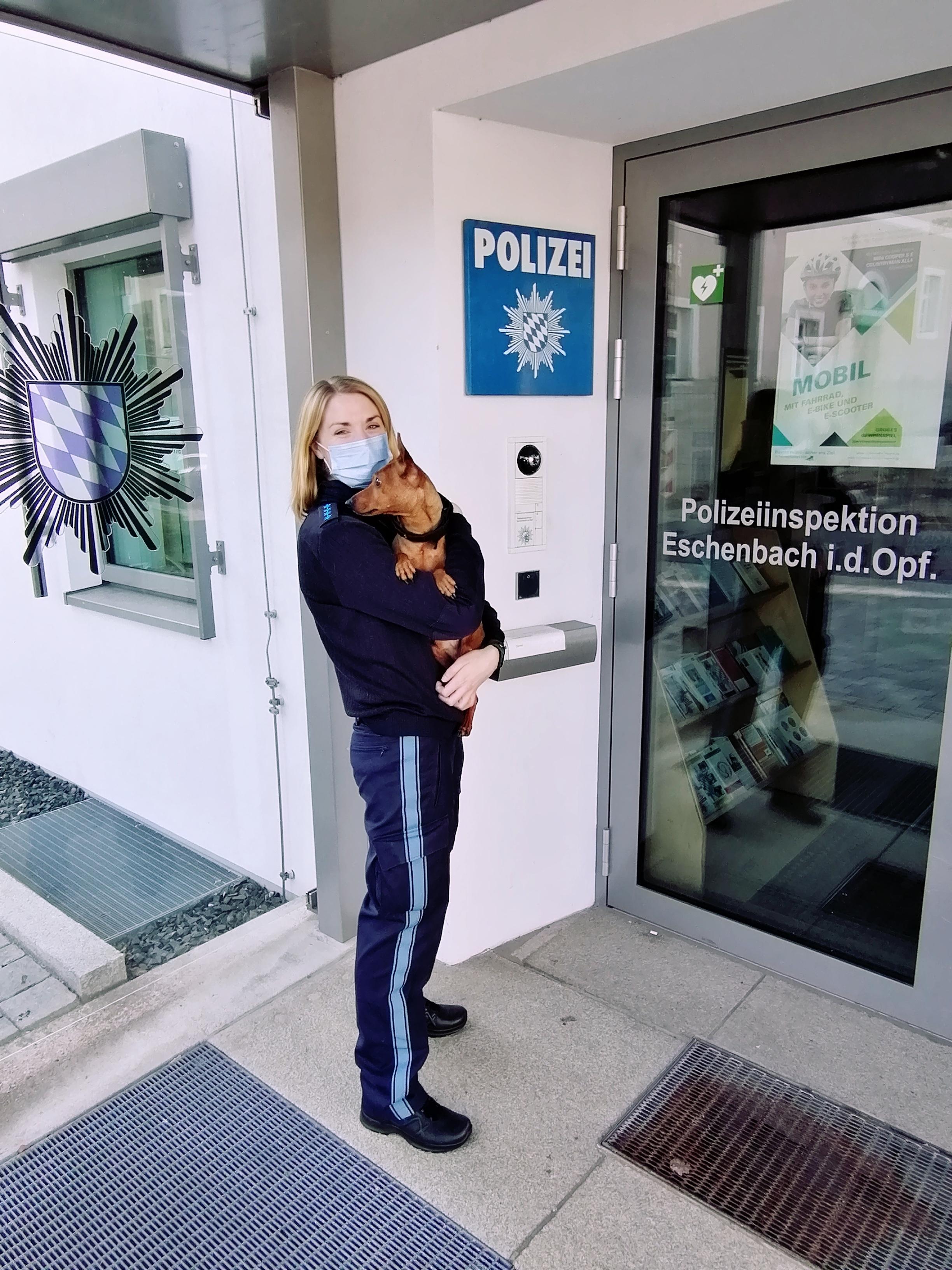 Ausgebüxt Hund "Bobby" wartet bei der Polizei auf sein