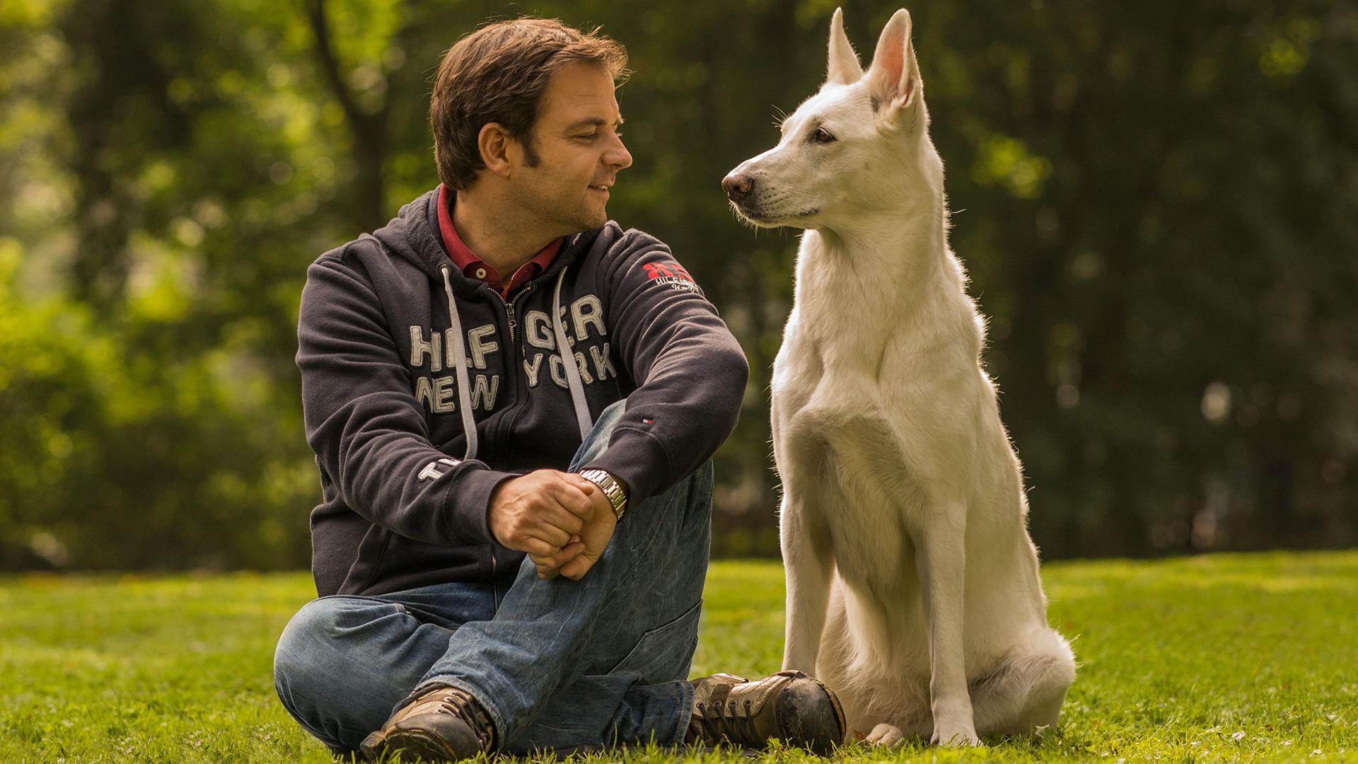 3 Fragen an Hundetrainer Martin Rütter DogSharing Wie