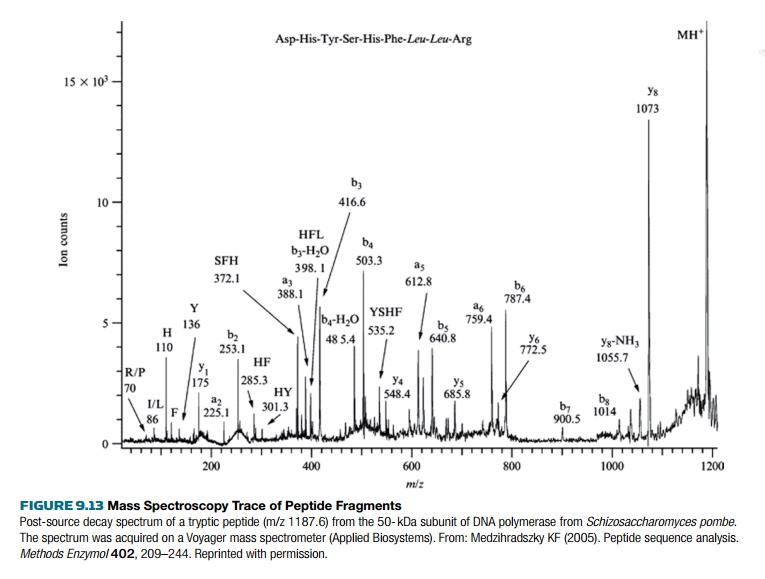 Peptide Sequencing Using Mass Spectrometry