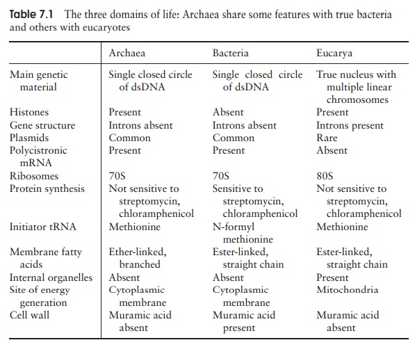 Domain Archaea Characteristics