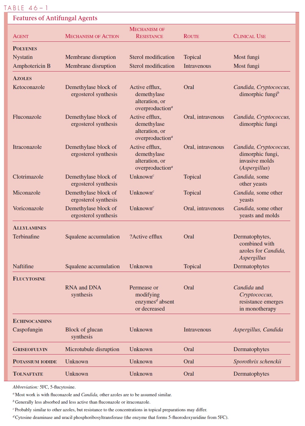 Antifungal Chemotherapy