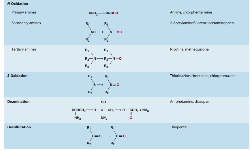 Microsomal Mixed Function Oxidase System & Phase I Reactions
