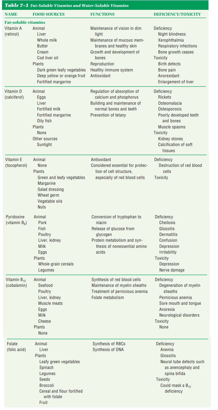 Classification of Vitamins