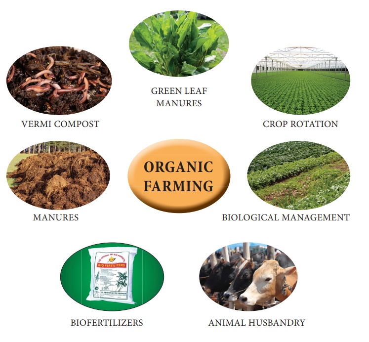 Organic Farming Environmental Economics