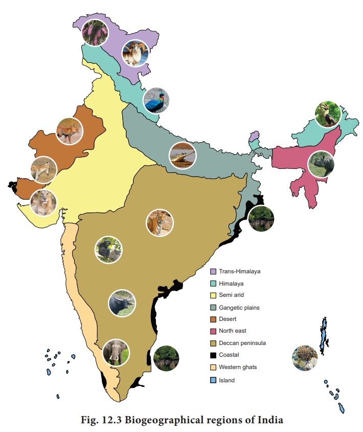 Biogeographical regions of India Zoology