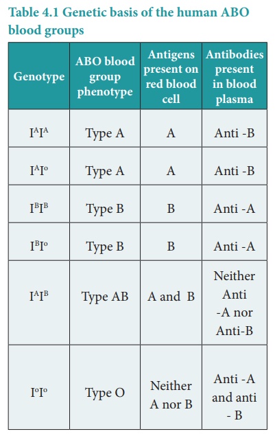 Human Blood Groups - Principles of Inheritance and Variation