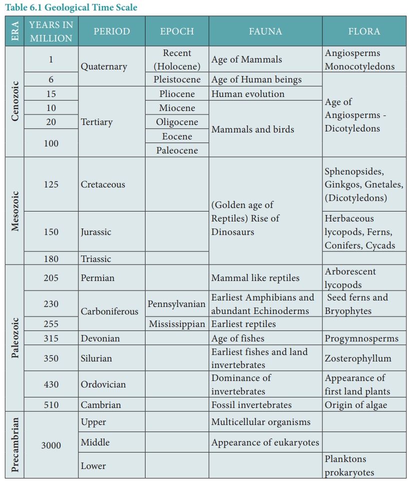 Geological time scale Evolution