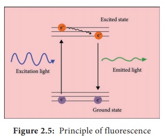 Fluorescence Microscope - Principle, Working Mechanism, Applications