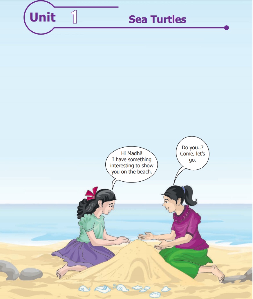 Warm Up Sea Turtles Prose Term 1 Unit 1 6th English