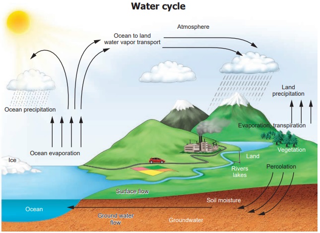 Composition of water - Water | Term 3 Unit 2 | 6th Science