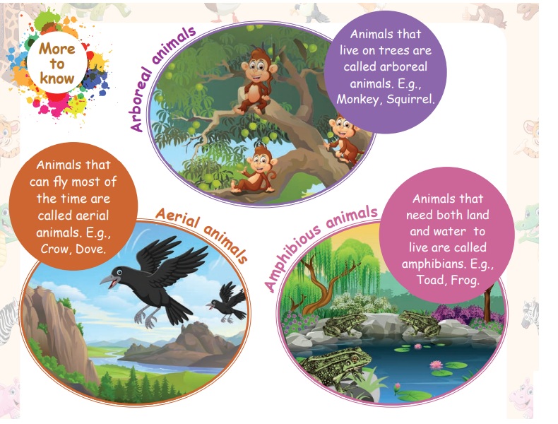 Animal Life Term 3 Chapter 2 3rd Science