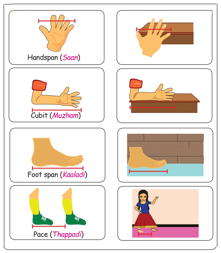 Measures Measurements Term 2 Chapter 4 1st Maths