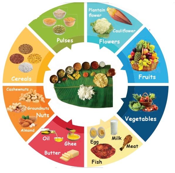 Our Delicious Food Term 2 Chapter 1 1st EVS Environmental Science
