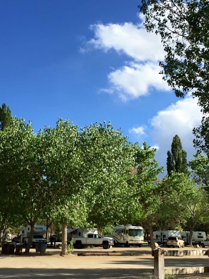 Millpond Campground Browns Campground