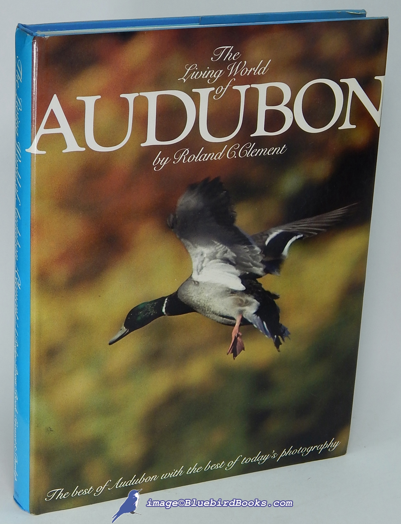 The Living World of Audubon