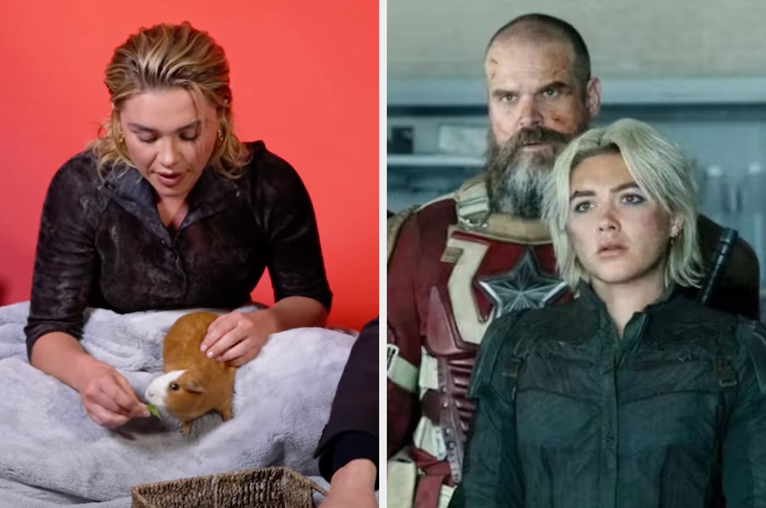 Florence Pugh And David Harbour Just Did An Interview With Guinea Pigs, And It’s Just So Wholesome
