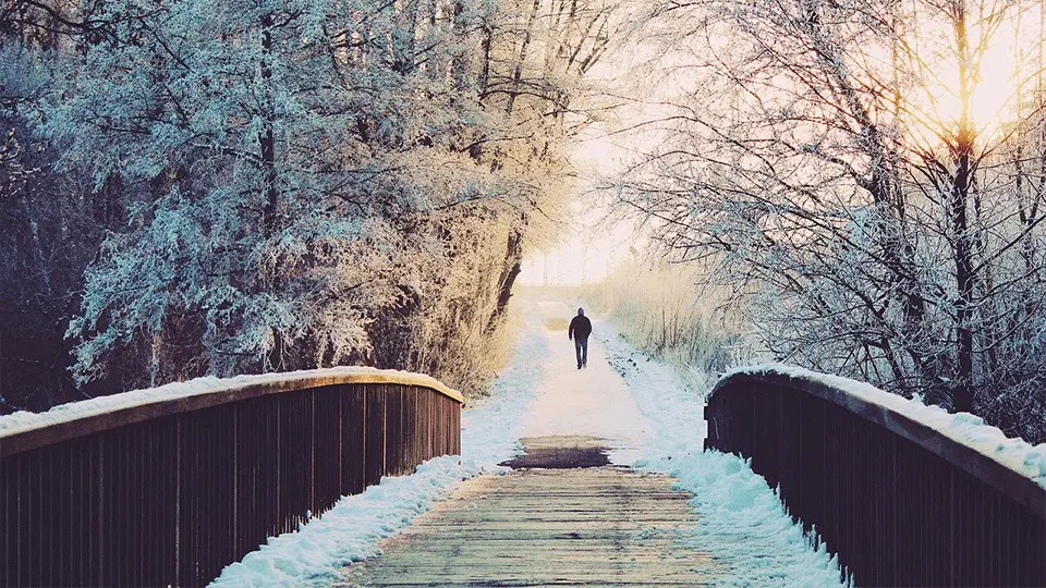 The Science Behind Snowshoe Weight Limits A Comprehensive Guide Calceus