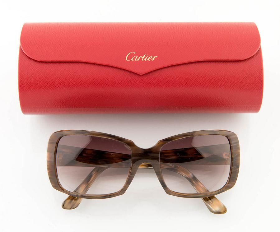 Cartier Sunglasses with Case, Box & Papers Sunglasses Costume