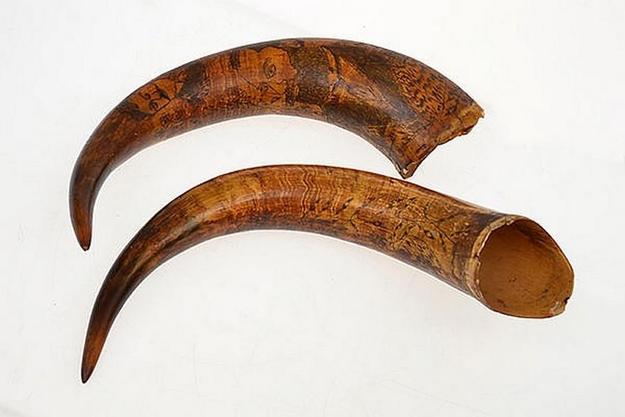 Maritime Scrimshaw Cow Horns Scrimshaw Precious Objects