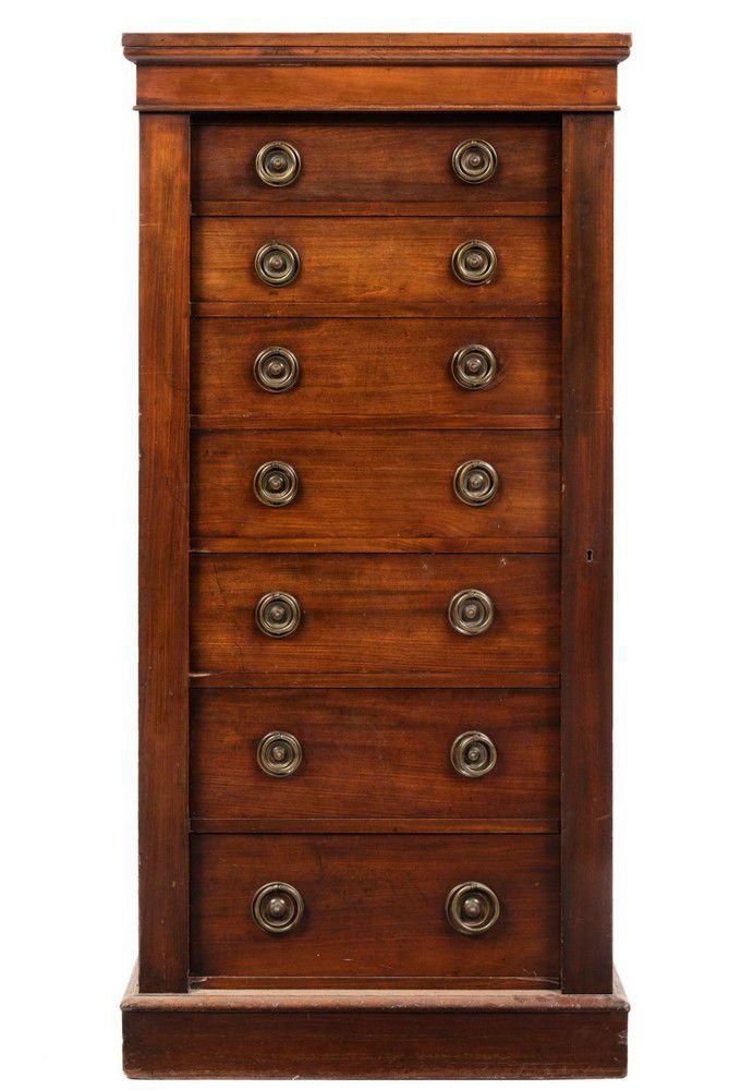 19th Century Mahogany Wellington Chest Chests of Drawers Furniture