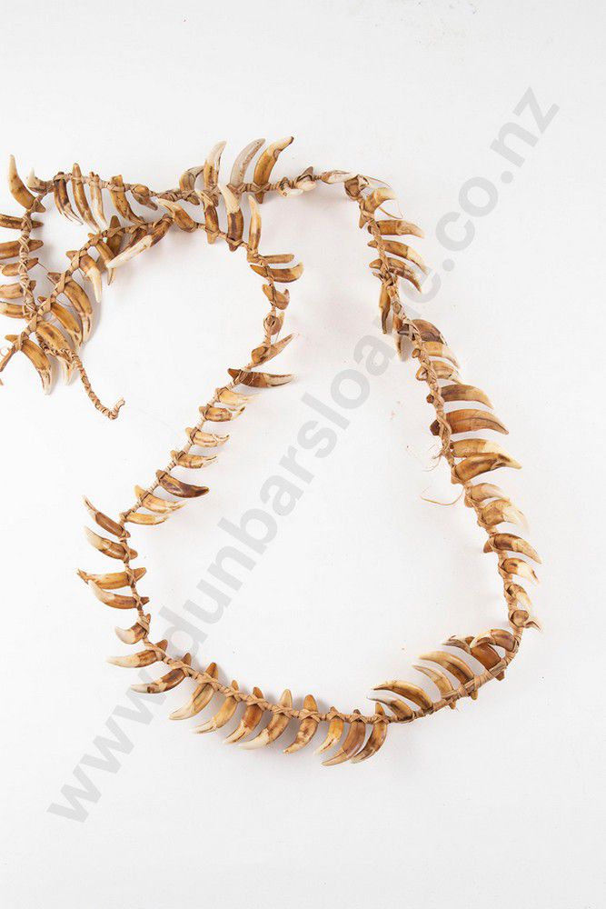 Papua New Guinea Warrior's 115cm Dog Tooth Necklace New Guinean Tribal