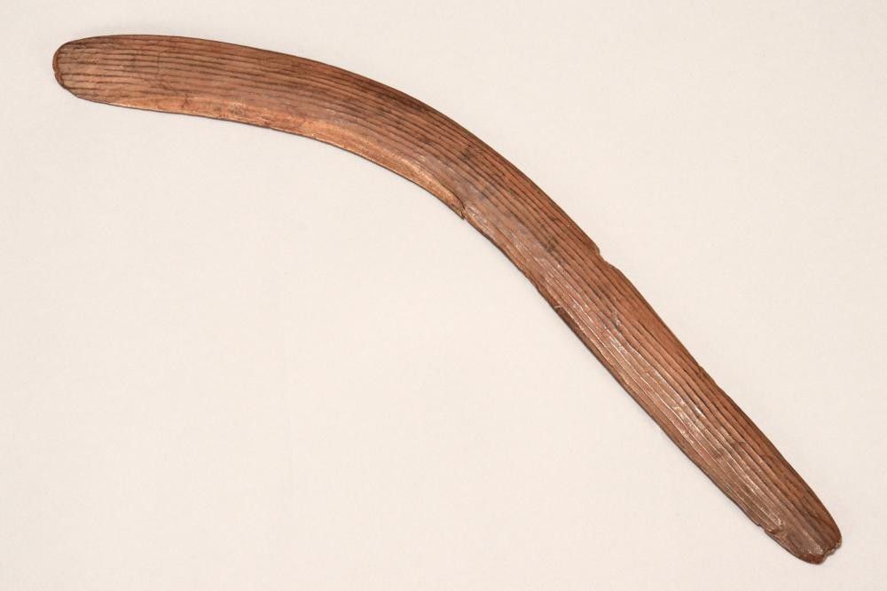 Aboriginal Hunting Boomerang, Central Desert, Pre1920 Aboriginal Artefacts Tribal
