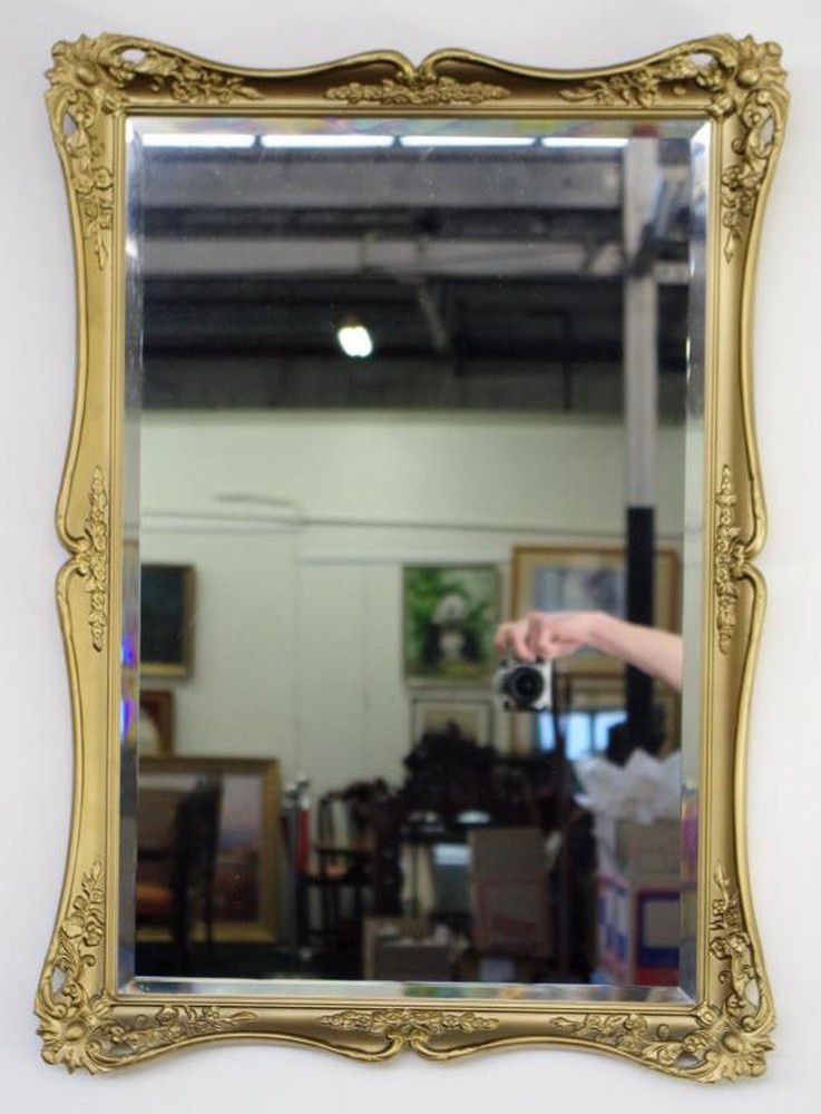 Golden Reflections 88x63cm Wall Mirror with Gilt Frame Mirrors