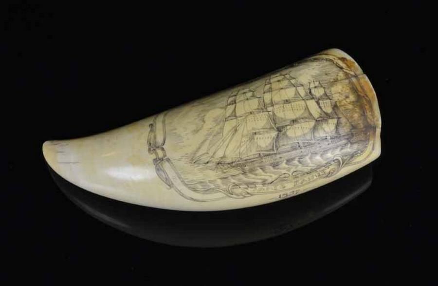 Gary Tonkin's Scrimshaw Whale Tooth of James Baines Clipper Ivory
