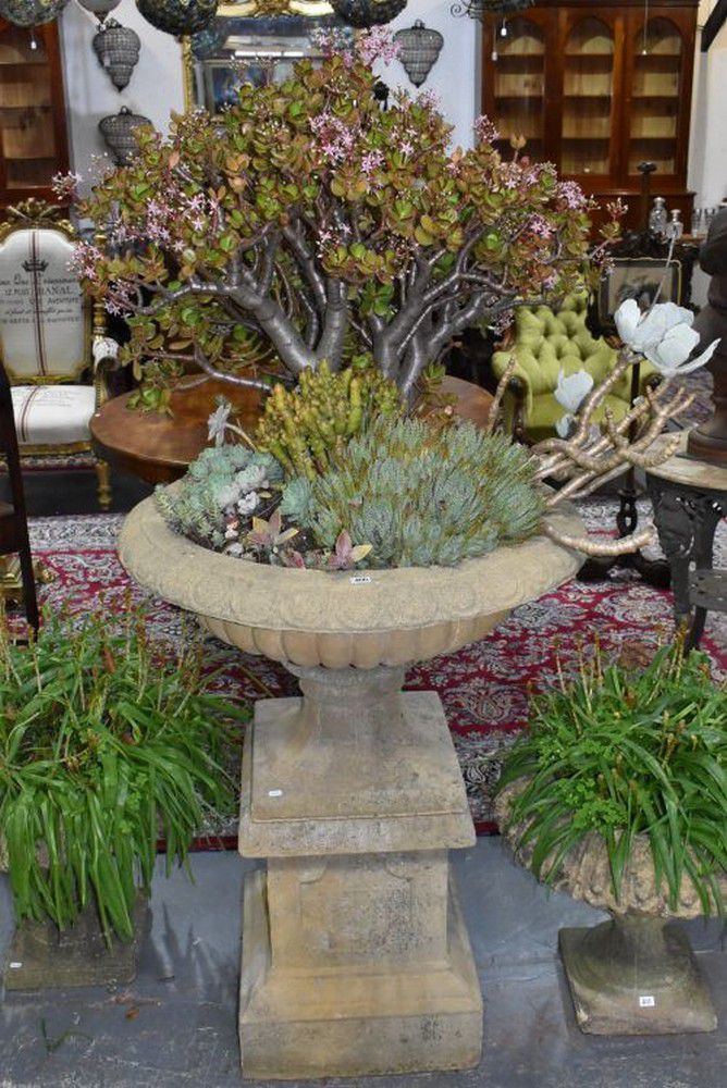 Succulentfilled Sandstone Urn on Plinth Stand Decorative Urns