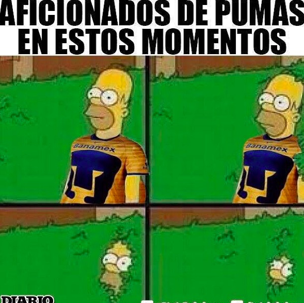 Memes por la final de PumasTigres Chilango