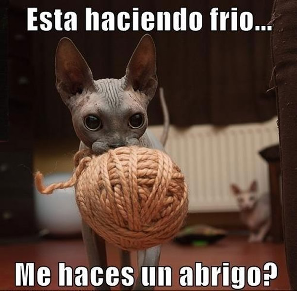 Memes para burlarnos del frío Chilango