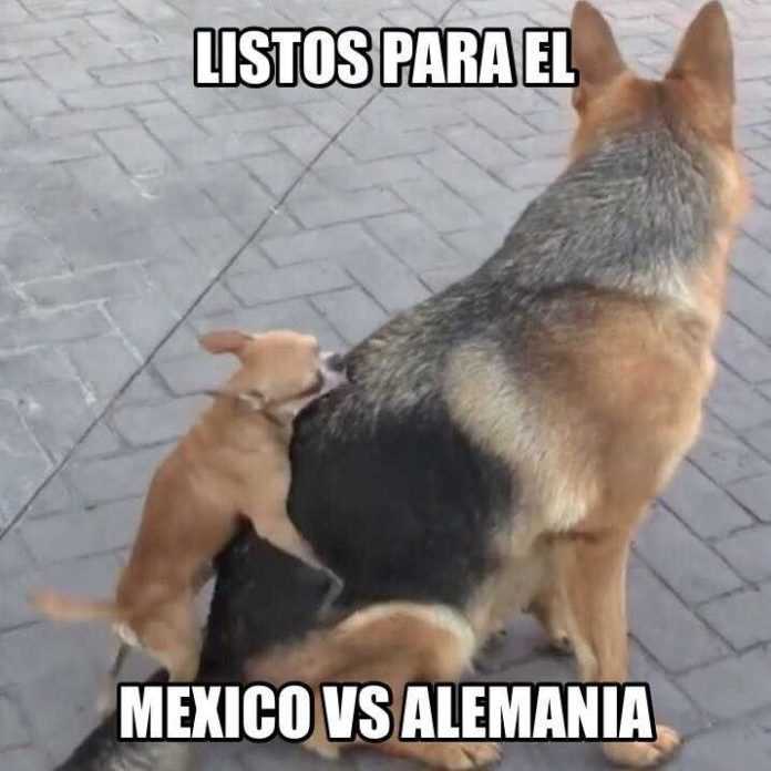 chilango MEMES Así pasamos el trago amargo del MéxicoAlemania